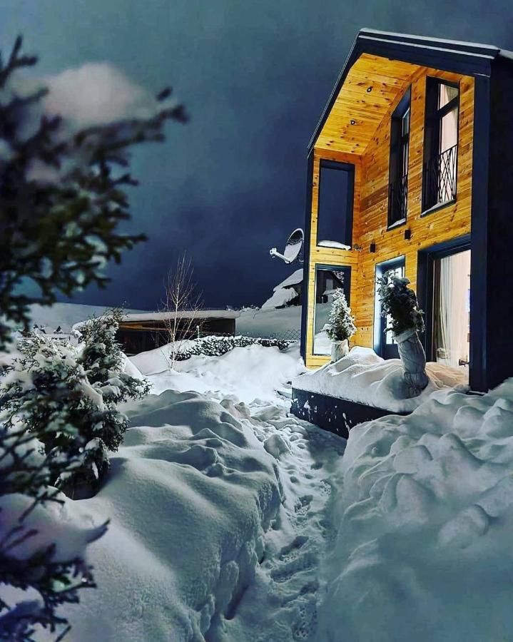 Vista Durmitor - Luxury Cabin Žabljak Exteriér fotografie